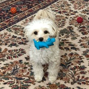 Meet your Posher, Doreen